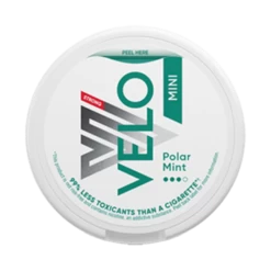 Velo Polar Mint Mini 8mg
