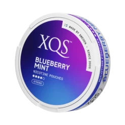 XQS Blueberry Mint Extra Strong